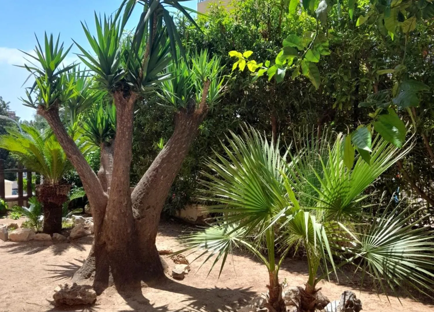 Apartamento Torremolinos Centro Beach